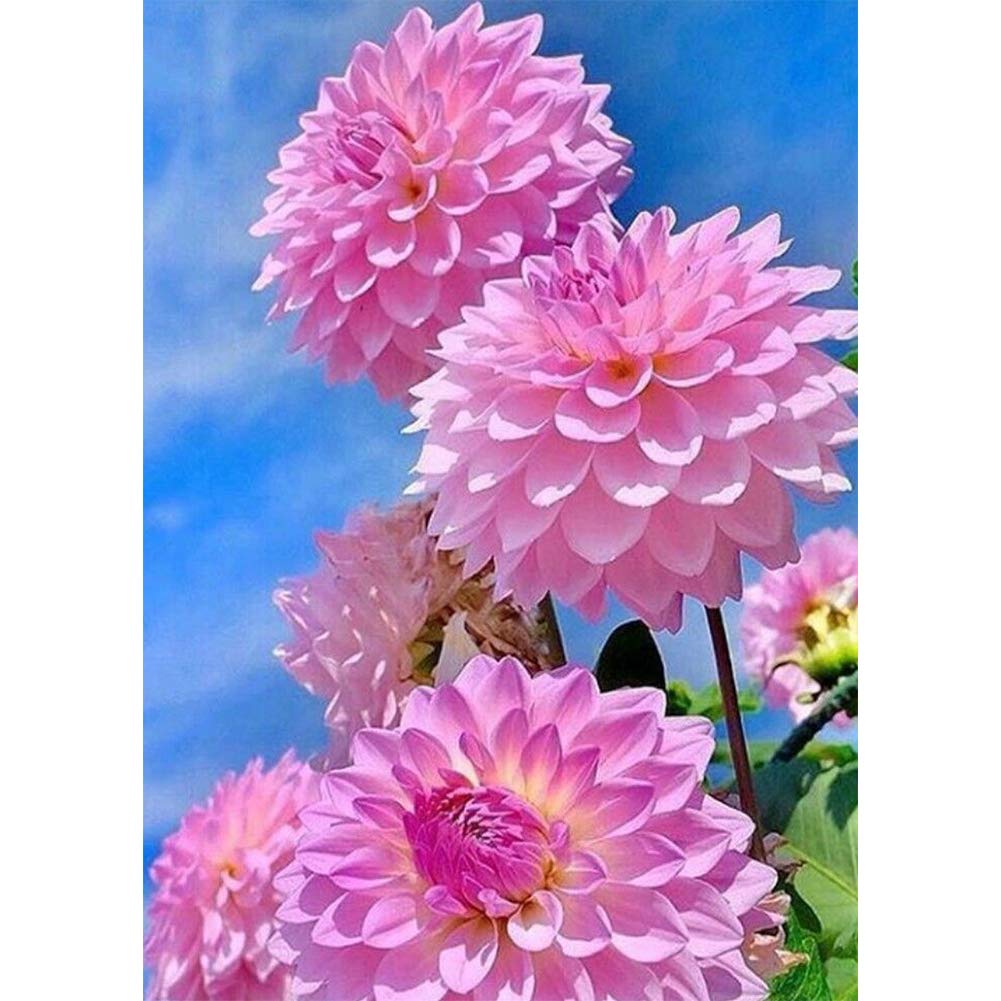WOWDECOR 5D Diamond Painting Kits, Beautiful Pink Dahlia Flowers Blue Sky Full Drill DIY Diamond Art Cross Stitch Paint by Numbers