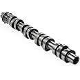 AKWH 5L1Z-6250-BA Right Camshaft Replacement for 2005-2010 Ford F250 F350 F450 F550 Explorer Mus-tang Expedition Lincoln Navigator Mercury Mountaineer 4.6L 5.4L 3V 5L1Z6250BB