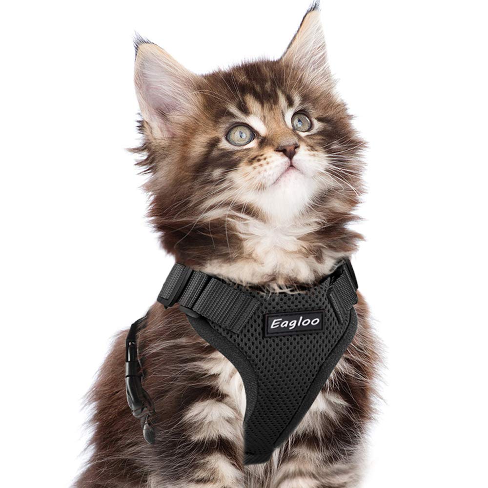 Galleon Eagloo Cat Harness Escape Proof Small Cat And Dog