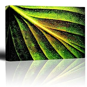 Intricate Leaf with Rain Drops and High Contrast - Canvas Art Home Art - 12x18 inches