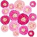 Winlyn 16 Pcs Paper Flower Decorations Set Tissue Paper Flowers Pom Paper Flowers 4 Pink Colors 6.7