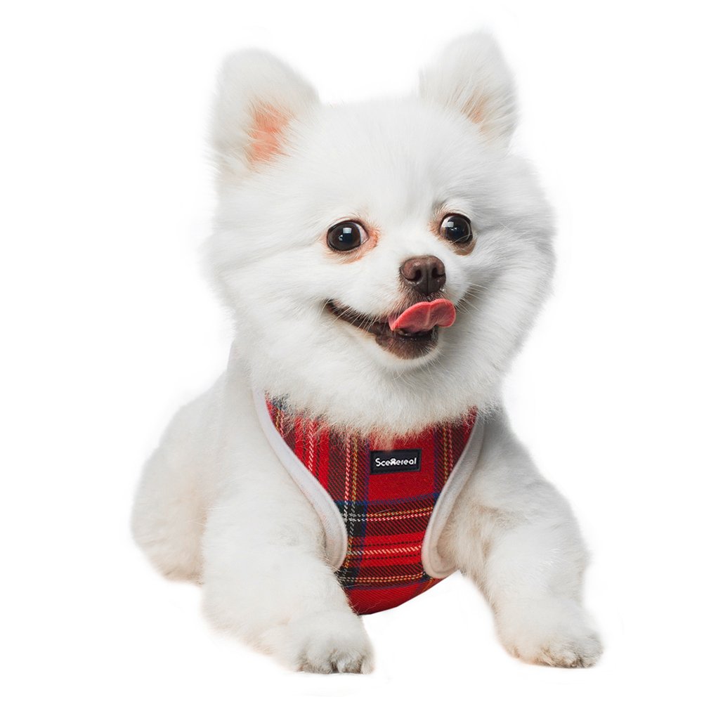 Small Dog Harness and Lead - Red Plaid Adjustable Vest for Puppy Cats Small Pets Cute and Soft