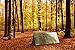 SURVIVOR X Emergency Shelter Tube Tent - Paracord 550 (Military Grade) Suspension - Super Lightweight Space Blanket Material to Reflect & Retain 99% Body Heat - Integral Part of a Zombie Survival Kit