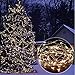 LED Copper Wire Lights 99ft/30m 300 LED Light String Dimmable with Remote Control Waterproof Starry Lights for DIY Bedroom Outdoor, Garden, Party, Wedding, Patio, Fairy Tale (Warm White)