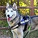 Paw Five CORE-1 Dog Harness, Reflective No-Pull with Built-in Waste Bag Dispenser, Fully Adjustable with Padded Control Handle for Medium and Large Dogs, (Medium (Girth: 27
