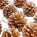 Yarssir 27-Pieces Gold Tipped Real Natural Dried Pine Cones Hand Painted Premium Quality, 1.5-1.9 inch,Christmas Decorations, Centerpieces, Bowl Filler,Displays Crafting Holiday Decor (4-5cm, Gold)