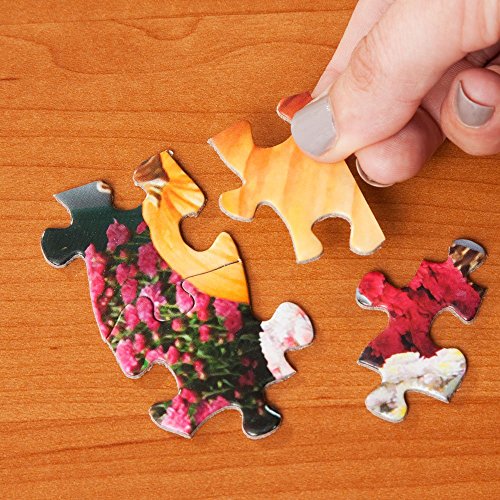 Bits and Pieces 300 Piece Jigsaw Puzzle for Adults 18" x 24