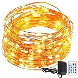 GDEALER String Lights Copper Wire 50ft 150LED Starry Fairy String Lights Dimmable Rope Lights Remote Control Copper Wire String Lights for Bedroom Home Indoor Party Wedding Christmas(warm white)(1)