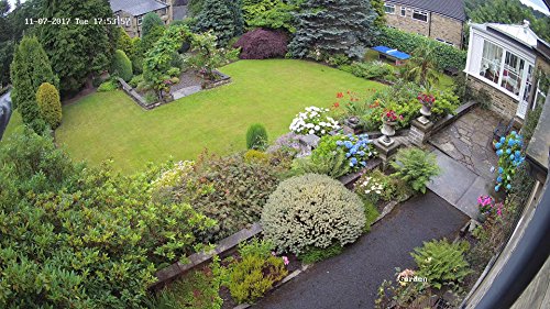 green backyard ip poe camera