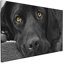 black lab wall decor