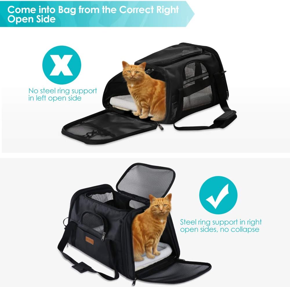 CLEEBOURG Pet Carrier Cat Carriers, Airline Approved Travel Pet Bag, Collapsible Soft-Sided Dog Kennel with Reflective Side Strip, Mesh Window and Escape-Proof Buckle, Best for Small Medium Cats Dogs : Pet Supplies
