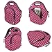 LunchFox Eco-Friendly Insulated Neoprene Lunch Bag Tote for Women, Pink/Red - The Melrose