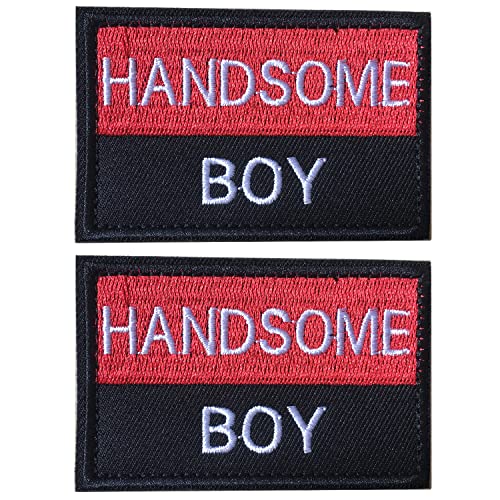 GYGYL 2Pcs Handsome Boy Patch, Dog Vest Patch, Embroidered Fastener Hook and Loop Patch for Dog Vest Harnesses Collars