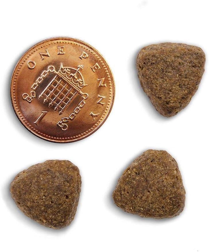 canagan dog food 6kg