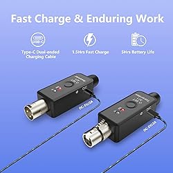 INGPARTNER 2.4GHz Wireless Microphone Transmitter