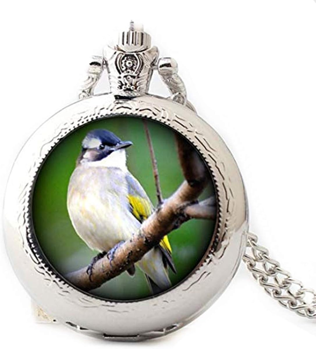 Bird Pocket watch Pendant, Creative Picture Pocket watch