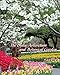 The Dallas Arboretum and Botanical Garden by 