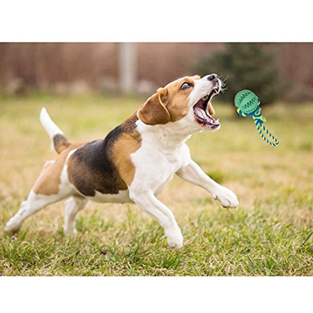 Dog Chew Toy Durable Non-Toxic Toy Balls for Small Dogs Soft Bouncy Rubber Dog Ball Launcher for aggressive chewers training Pet Dog Cat Exercise and Reward Toy