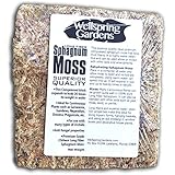Premium Sphagnum Moss from Chile 7 ounces