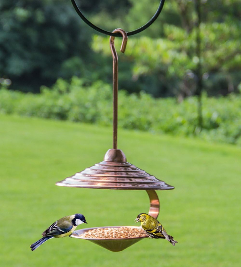 WandLee Unique Hanging Humming Pigeon Canary Parrot Wild Bird Feeder – Metal Shell-Shape Bird Attractant Feeder