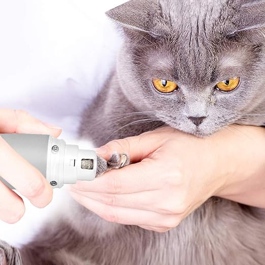 paw grooming for dogs