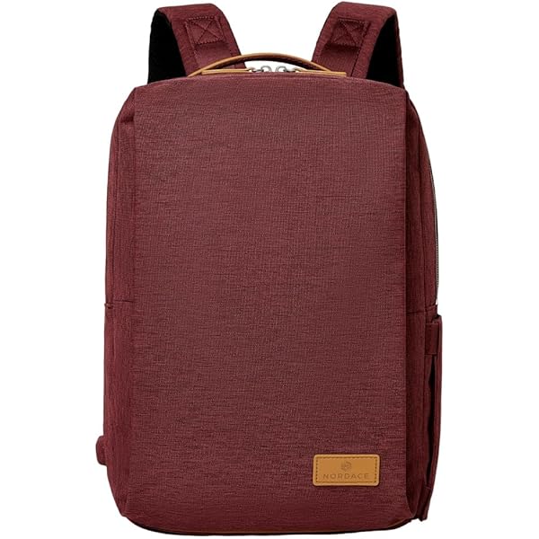 Amazon.com: Nordace Siena Pro Classic Backpack - 13.3