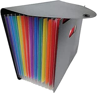 Carpeta de archivos expandible de 12 bolsillos/Organizador de archivos