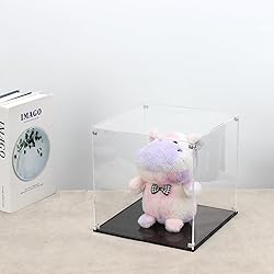 Kcgani Clear Self-Assembly Acrylic Boxes for