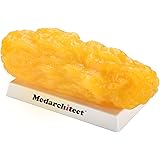 Authentic Human Body Fat Replica - 5 lb, Keep Fit & Weight Loss Motivation & Reminder, Human Fatty Tissue Demonstration Model
