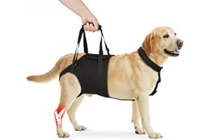 Supet Dog Sling for Large Dogs Hind Leg Support, Senior Dogs Lift Assist Harness for Weak Back Leg Support, Help Large Breed Rear Leg Up Harness, Mobility Aids for Elderly, Injured, Paralyzed Dog, XL