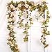 Felice Arts 2 Pack 17 Heads 7.2 Ft/pc Artificial Silk Fake Flowers Autumn Rose Vine Realistic Hanging Silk Rose Plants Wedding Home Party Arch Decor (Champagne)