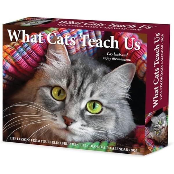 What Cats Teach Us 2026 Box Calendar: Glen Dromgoole