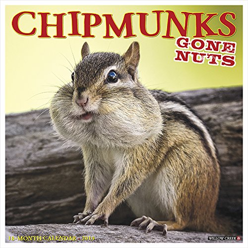 Chipmunks (Gone Nuts!) 2019 Wall Calendar by 