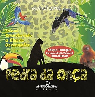 Livro Pedra da onça