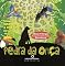 Livro Pedra da onça