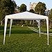 10'x10'Outdoor Canopy Party Wedding Tent Garden Gazebo Pavilion Cater Events (White)