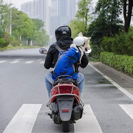 Amazon Co Jp Xdyff ファブリック 折りたたみ式 ペットキャリア バックパック 犬 ペット ダブルショルダー パッセンジャー バックパック 犬 アウトドア バッグ 通気性 自転車 アウトドア ショッピングバックパック M ブルー スポーツ アウトドア Amazon Co Jp Xdyff ファブリック 折りたたみ式 ペットキャリア バックパック 犬 ペット ダブルショルダー パッセンジャー バックパック 犬 アウトドア バッグ 通気性 自転車 アウトドア ショッピングバックパック M ブルー スポーツ アウトドア