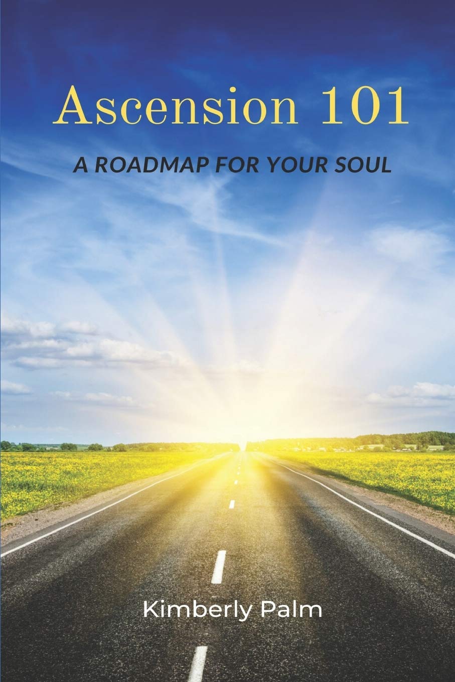 ascension outdoor and living center on Ascension 101 A Roadmap For Your Soul Palm Kimberly Messerschmidt Peter Nash Rev Sarah 9780997325225 Amazon Com Books