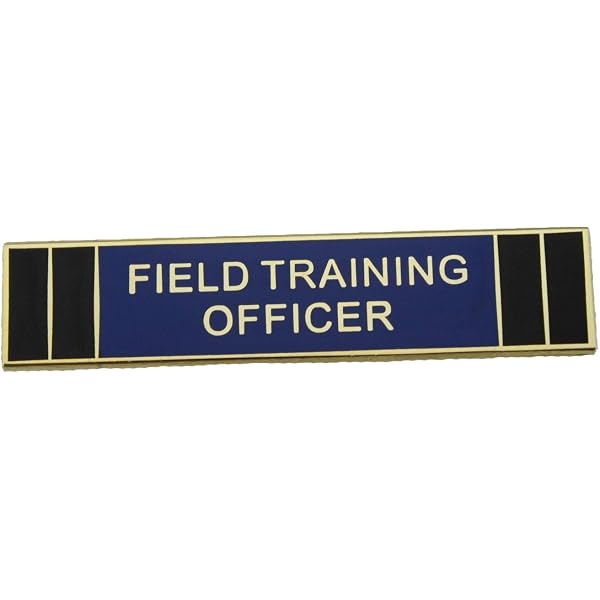 CIT Pin Law Enforcement Spilla Da Bavero Crisis Intervention Officer ...