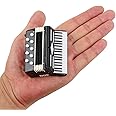 Dselvgvu Miniature Accordion with Case Mini Musical Instrument Accordion Replica Collectible Figurines Dollhouse Accessories Model Home Decoration Display Ornament (Black, 2.76"x2.36"x1.18")