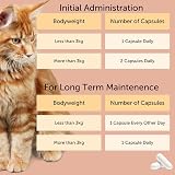 Feliway Cystease 30 Capsule Pack for Cats Urinary Tract Health view 6