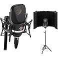 Neumann TLM 107 Studio Set Instrument Condenser Microphone (Black) Bundle with Auray RF-5P-B Reflection Filter and Reflection Filter Tripod Mic Stand