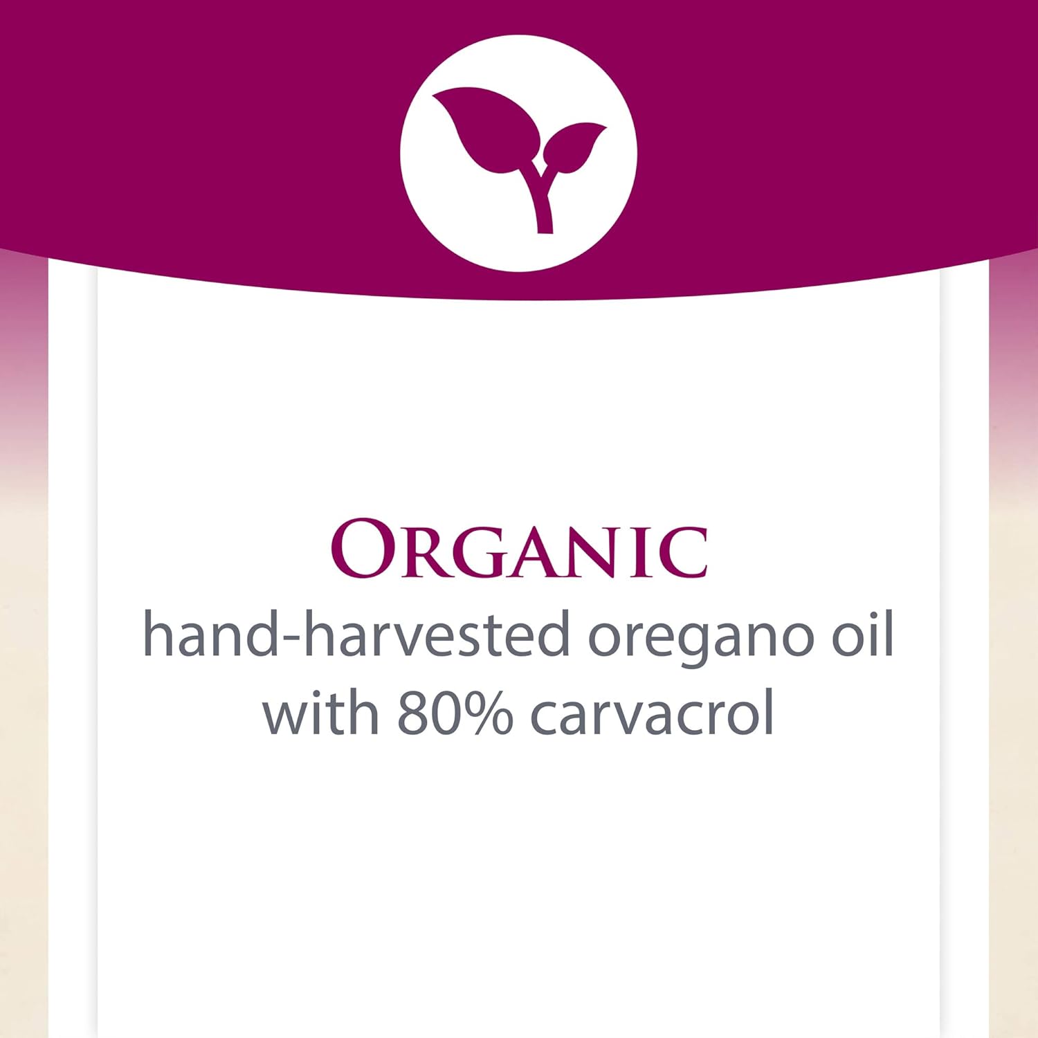 Natural Factors, Certified Organic Oil of Oregano, Herbal Supplement for Immune Support, Vegan, Non-GMO, 2 Fl Oz (Pack of 1) (375 servings): Health & Personal Care