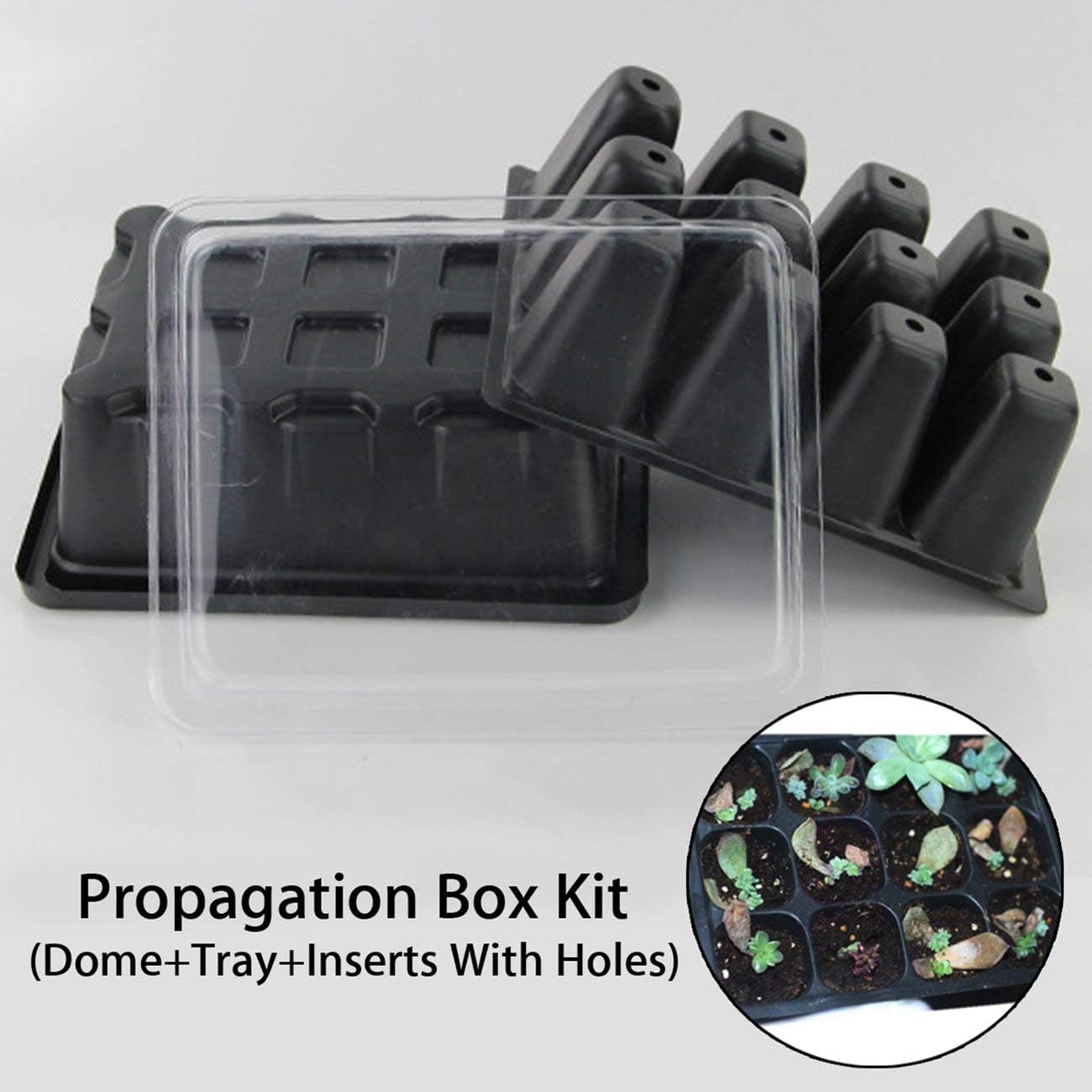 Communicator,12 Cell Plug Propagation Box Kit Dome + Tray + Inserts with Holes Grow Kit