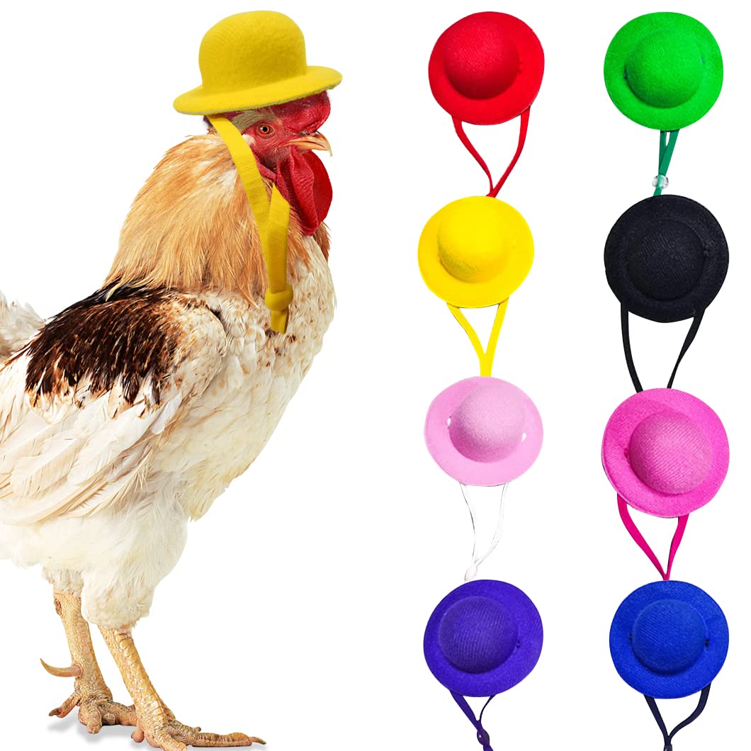 Rolin Roly 8PCS Chicken Hats - Multicolor, Small, Round, Terry Cloth, Adjustable Elastic Strap, Suitable for Chickens, Parrot, Small Breeds