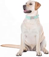 Unique Style Paws Summer Dog Collar Soft Adjustable Green Floral XS XL view 5
