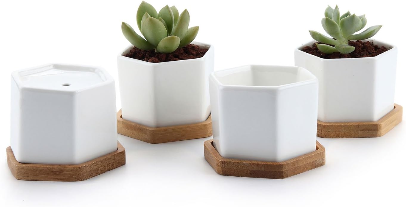 T4U Small White Succulent Planter Pots with Bamboo Tray Hexagon Set of 4, Geometric Cactus Plant Holder Container for Home Office Table Desk Decoration Gift for Mom Aunt Sisiter Daughter Gardener