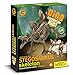 Geoworld Dino Excavation Kit - Stegosaurus Skeleton