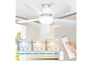 RIKOJUXI Socket Fan Light 19Inch, Dimmable Small Ceiling Fan with Light and Remote for Bedroom Kitchen Garage Tool Room - 1000 Lumens, 5 Wind Speed, 3 Lights Color with Dimmable Brightness (A-White)
