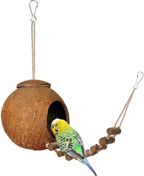 budgie toys amazon